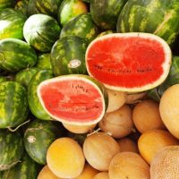 sandias